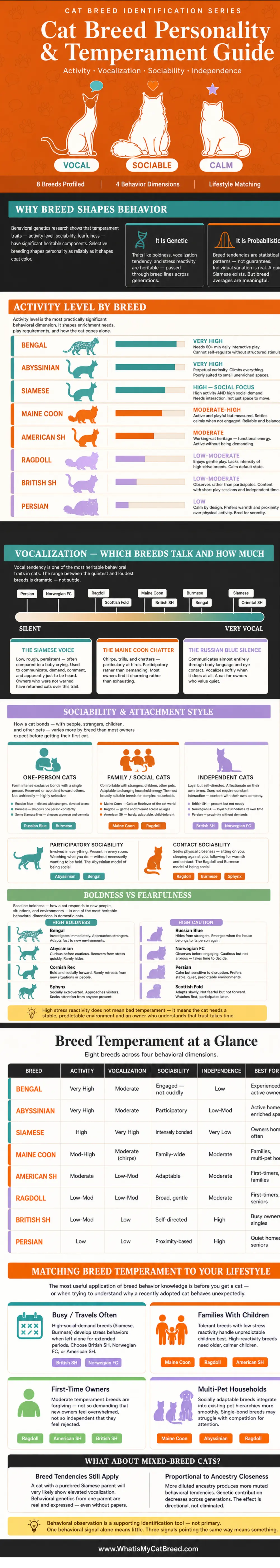 Effects of cat breed on their personality, behavior and temperament - infographic