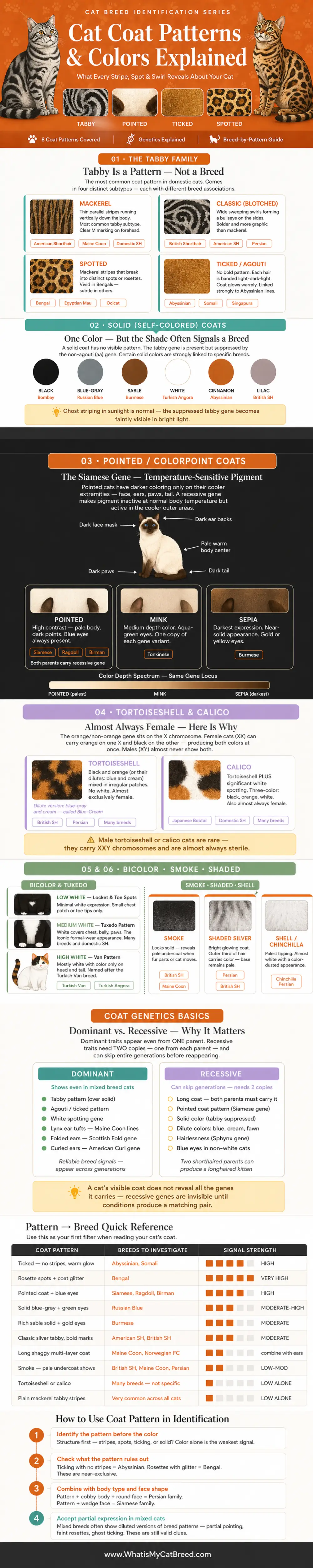 An infographic version of Cats Coat Patterns and their associations with breeds