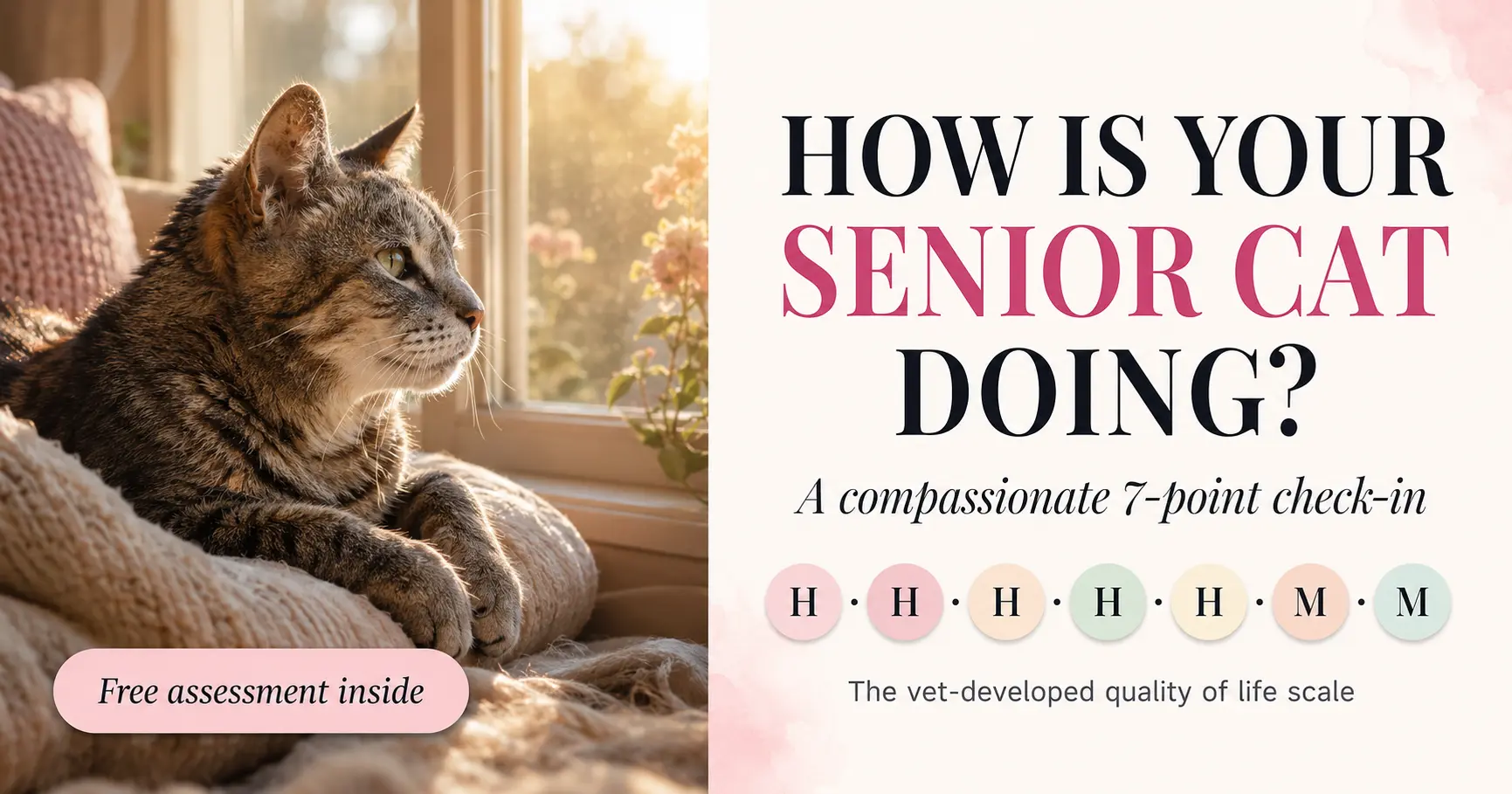 Illustrated cat quality of life assessment showing the seven HHHHHMM scale categories